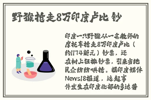 把腿夸开一点就可以吃扇贝了